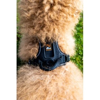 Fressnapf Tracker Pathfinder Geschirr Set S – Bild 5