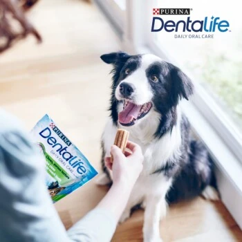 DentaLife PURINA Hunde Zahnpflege-Snacks Großpackung Medium, 84x – Bild 4