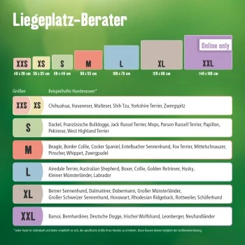 FIT+FUN Liegeplatz Domus Grau S – Bild 3